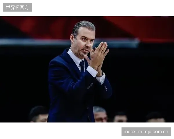 后防线搭档的默契度将决定下限，帕利尼亚需快速融入防守体系。